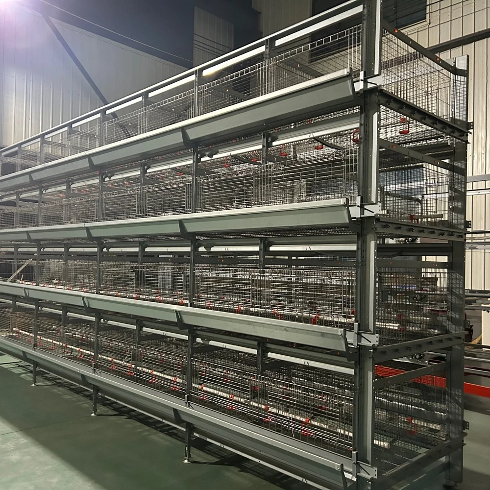 Broiler Poultry Farming Equipment Multitier H Type Automatic Harvesting System Battery Broiler Chicken Cage For Raising Broilers