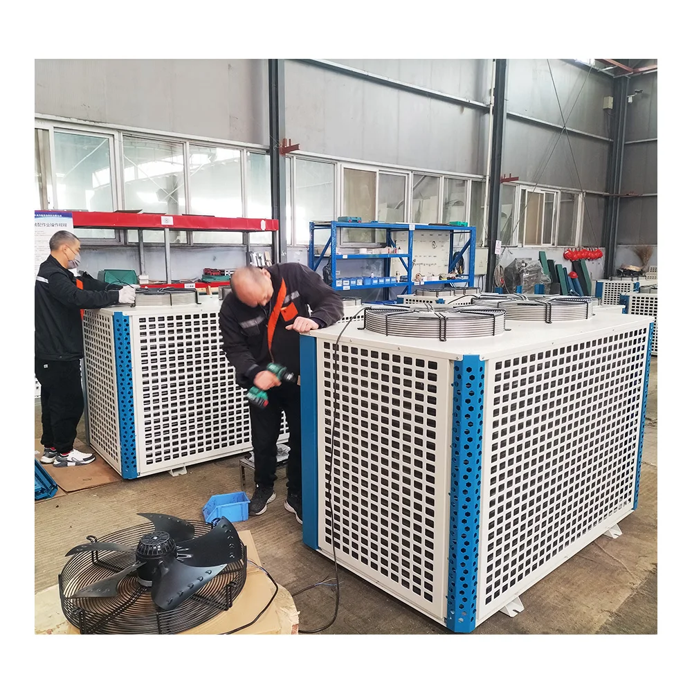 6HP7HP mini refrigerator U type Air Cooled Refrigeration Condenser solar Cooling system kitchen refrigerator for sale