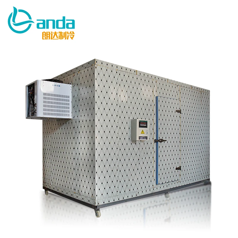 Blast Freezer Equipment Cold Store For Fruit And Vegetables Cool Storage Room Modular Cooler room