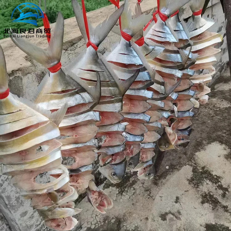 Factory price wholesale Sea Food Fresh Frozen Whole White Dry Pompano Frozen Other Sea Fish Dried Gold Pomfret