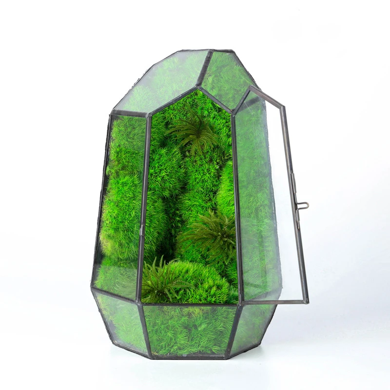 wholesale moss art moss plant real natural living green long lasting stabilized preserved moss terrarium for decoration