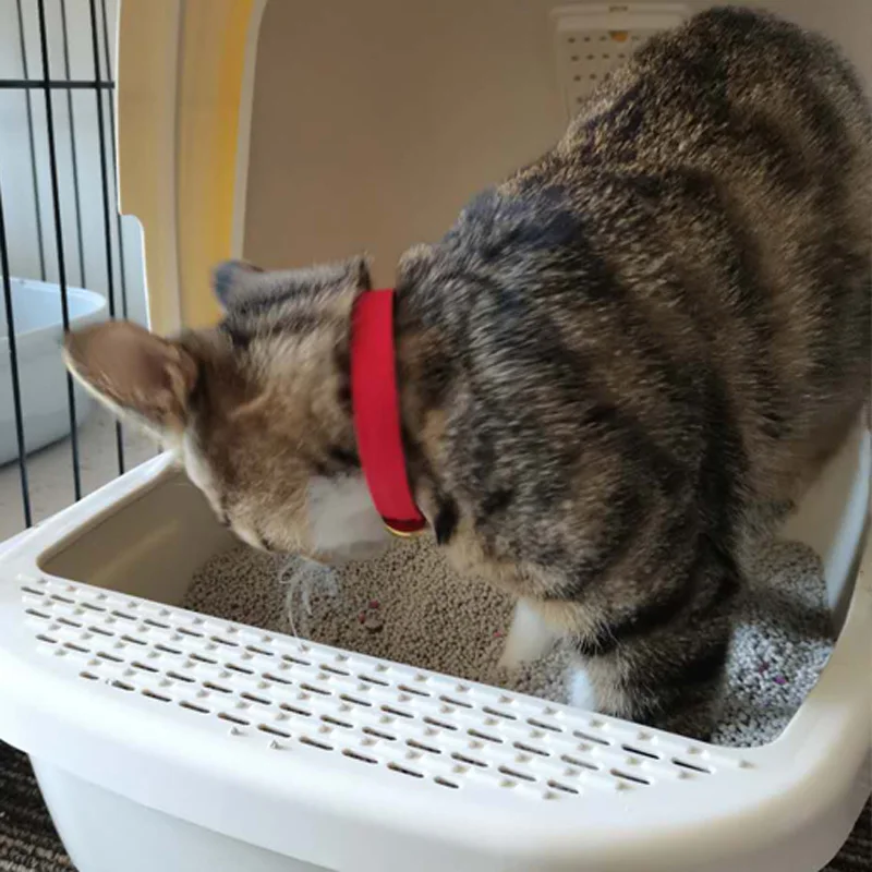 New listing easy to clean and sell environmentally tasteless natural banded tofu cat