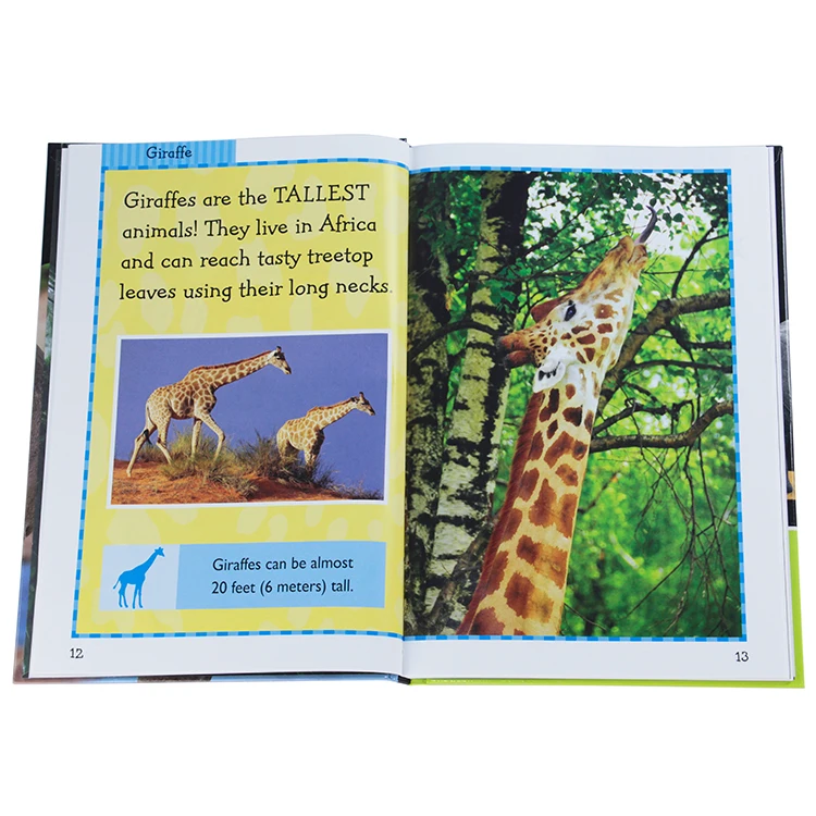 New Design Colorful Hardcover Children Educational Book Customized with Lenticular Sticker Affixed on Front Cover
