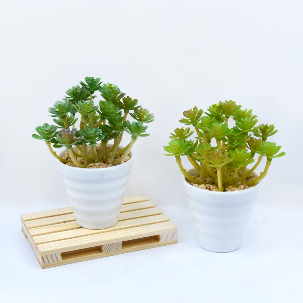 High Simulation Artificial Succulent Plant in Plastic Pot Assorted Plastic Mini Plant Bonsai Desktop Decoration