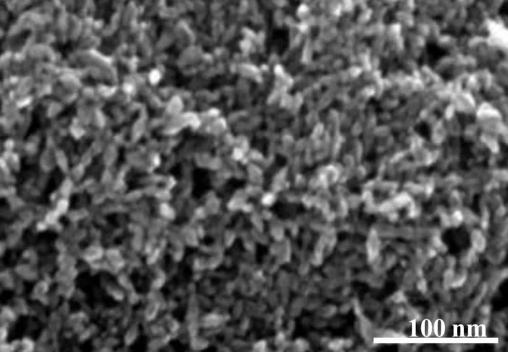 HYHM-TO-A10 High-end Photocatalyst Anatase 10nm Stable Titanium Dioxid