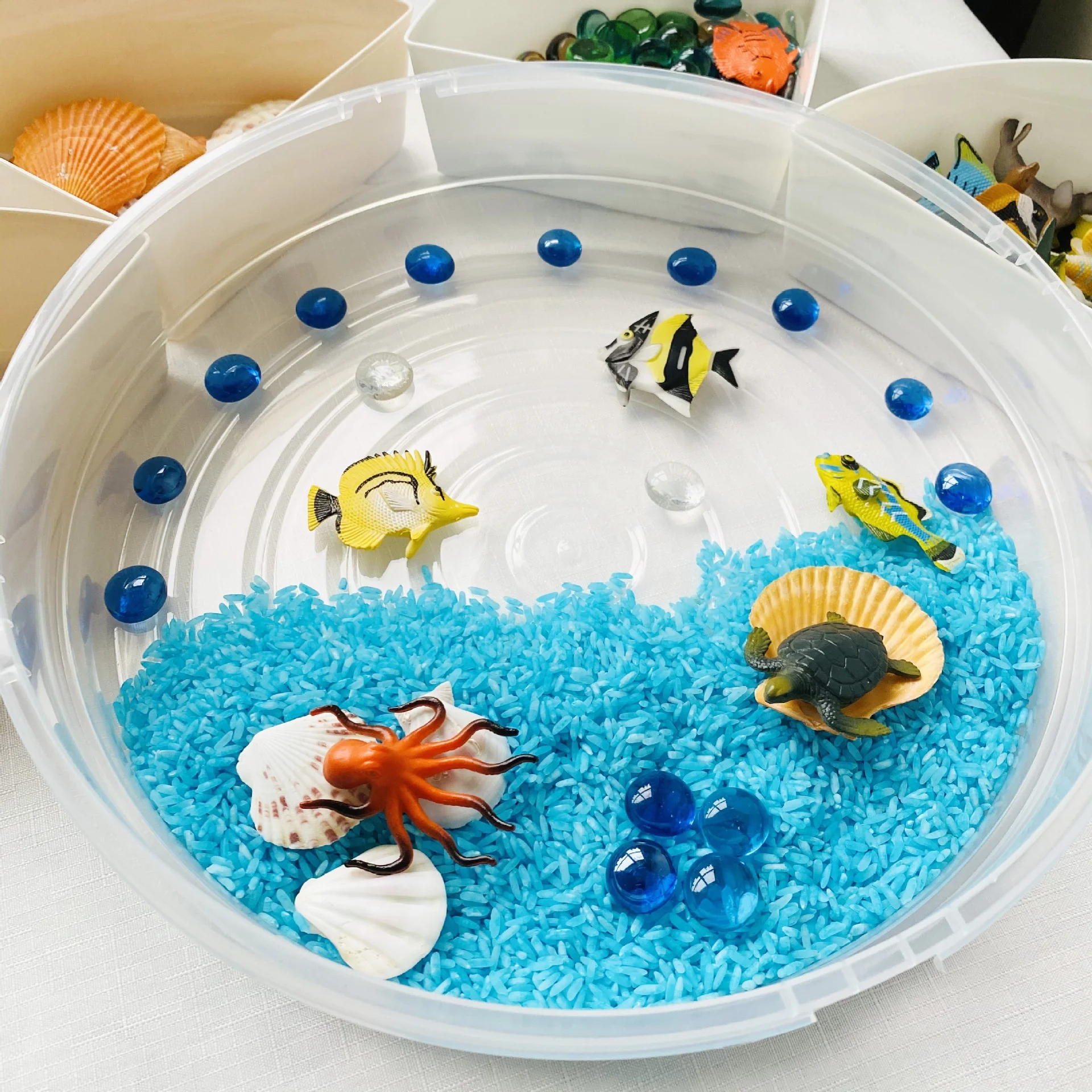 Bin with Lid and Removable Storage Inserts Sensory Activities for Toddlers 12.2 Inch Portable Play Tray Box  Toys Children