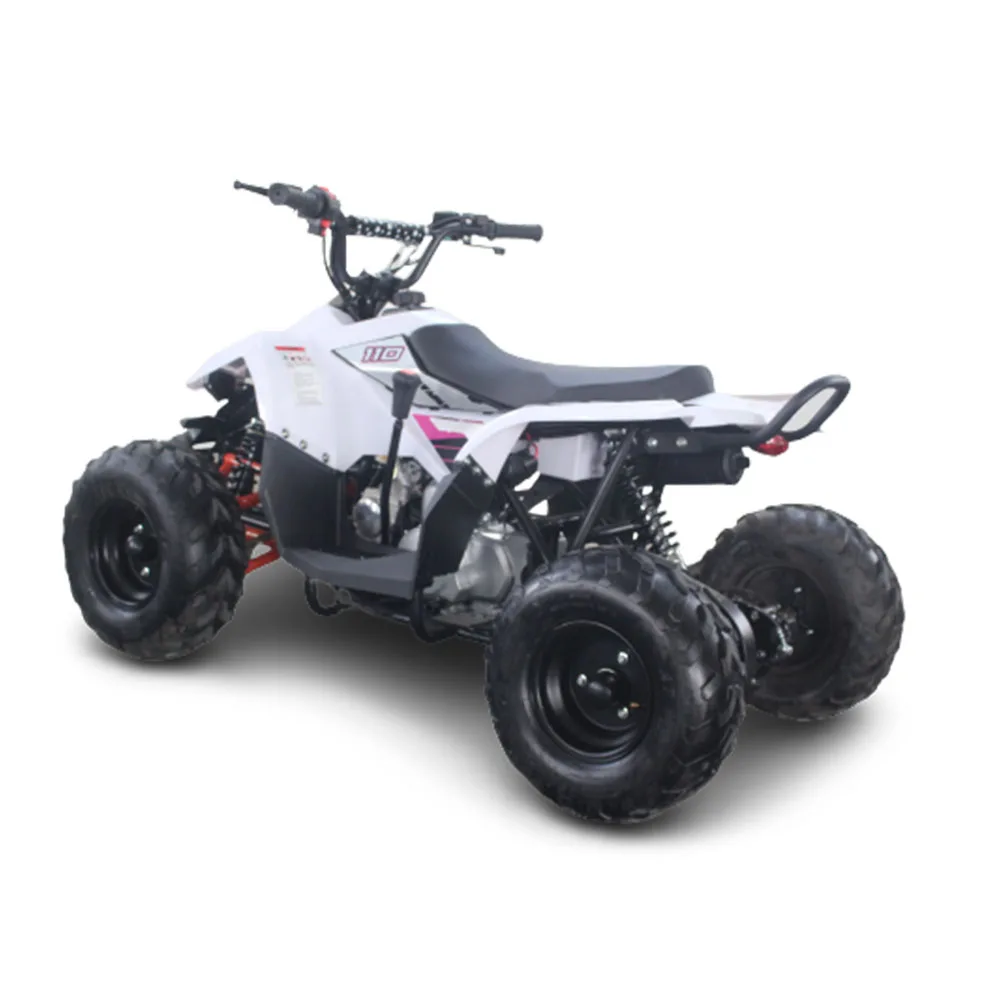 Gasoline CF Moto 110cc ATV for Teenager