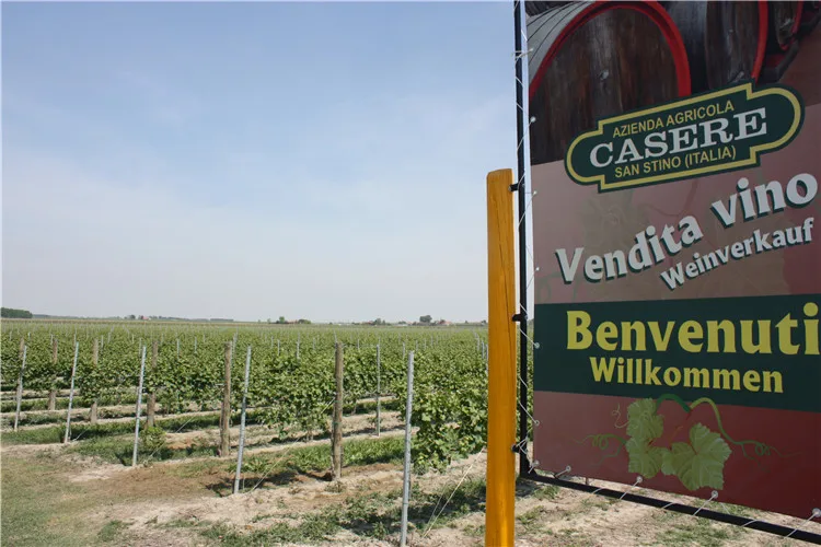 Merlot Igt Veneto - Italy Veneto Casere 12.5% Bottle Igt Table Still Merlot Sweet Red Wine