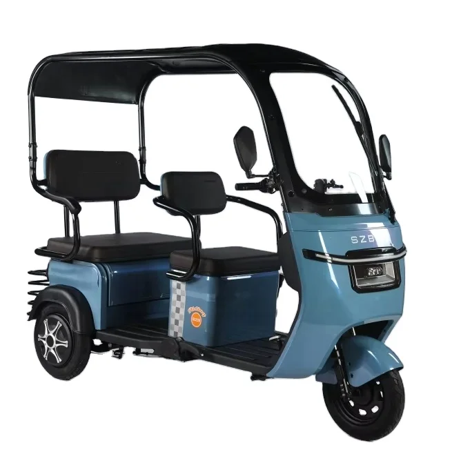 New Design China Cheap adult electric tricycle 3 Wheeler Electric Vehicle Tricycle For 2 People