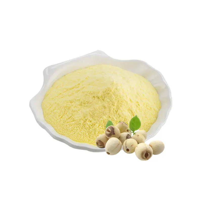 100% Pure Lotus Seed Extract Powder Promotes Digestion Herbal Extract Lotus Plumule Extract Powder