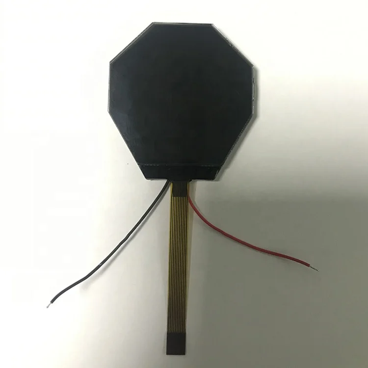 VA Negative White on Black Segment LCD Display