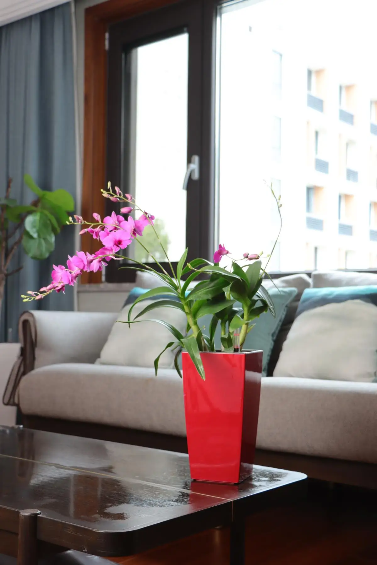 Leizisure Designed Self-Watering Flower Pots Indoor Plant Pot Macetas with Water Indicator for Home Decoration on Floor Desktop