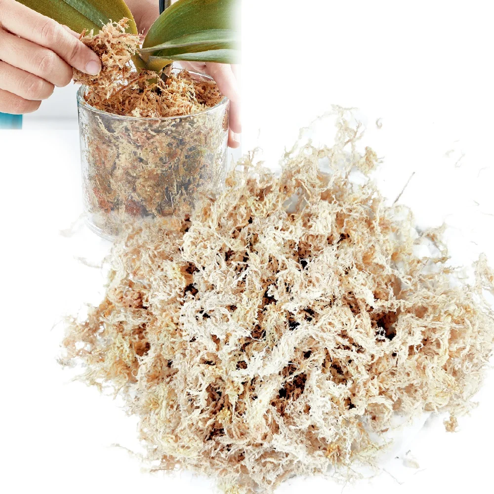 Сухой торфяной мох Sphagnum в домашней упаковке 150 г