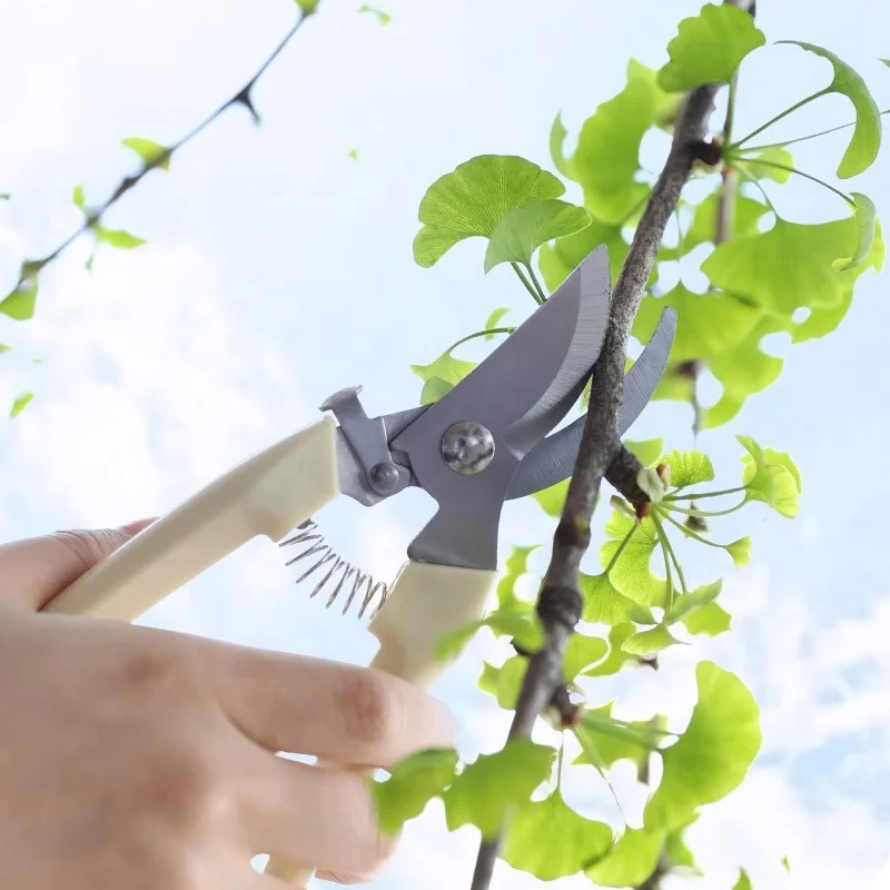 Sharp Garden Shears for Cutting Flowers, Trimming Plants Curve Garden Scissor