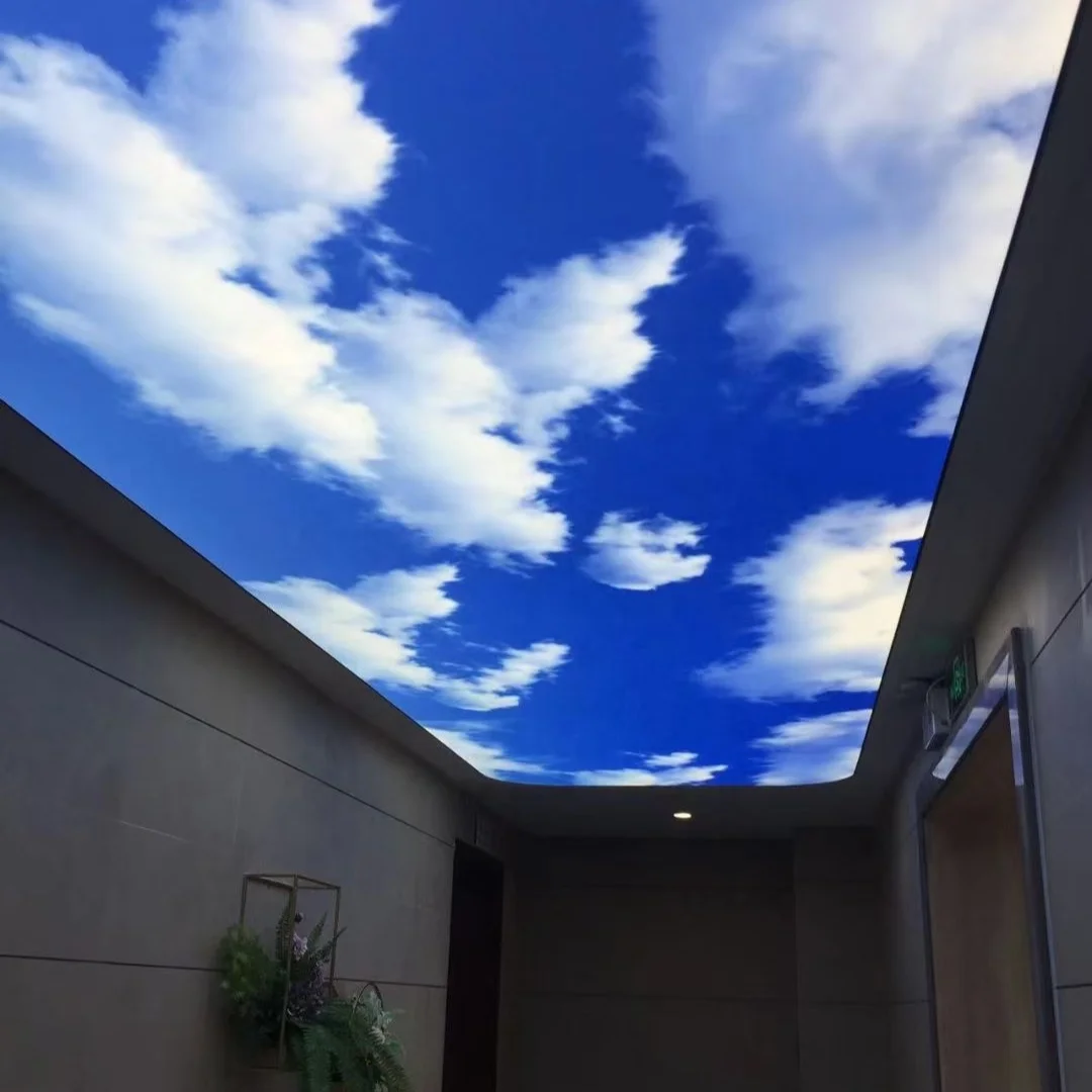 ZHIHAI stretch ceilings fabric 3d pop ceiling design for bedroom