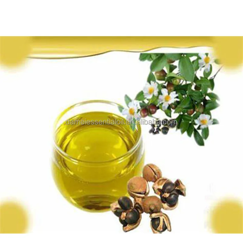 Factory Supply Wholesale Bulk Price Organic Camellia Japonica Seeds Extract Cold Pressed 100% Pure Natural Camellia Oil