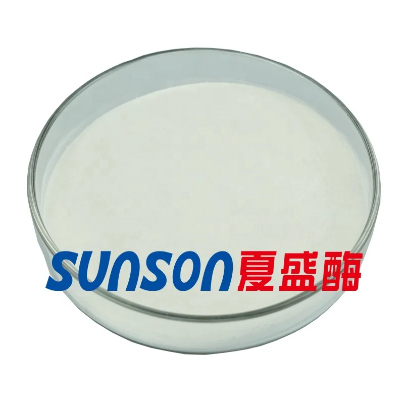 Food grade xylanase enzymes used in dough conditioning for better bread bakery