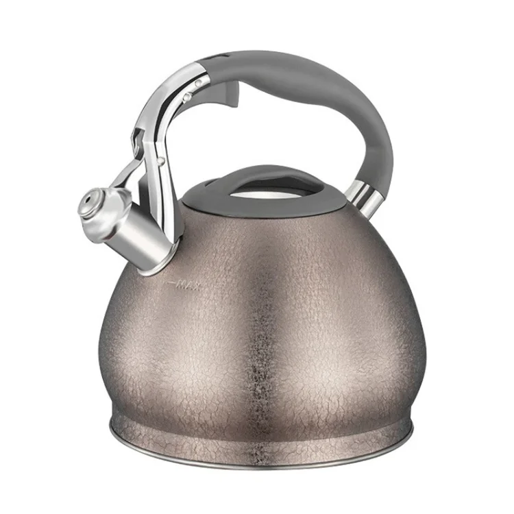 Household 304 Stainless Steel Whistle Gas Kettle Commercial Induction Tea Pot for Kitchen Stovetops Water Kettle Home Used