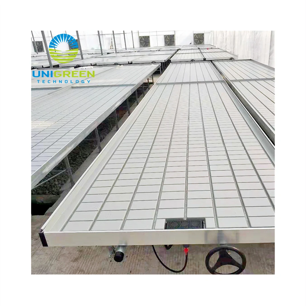 Quality Assurance Greenhouse ABS Tray Rolling Bench EBB and Rolling Table For Medical Plants and Flowers