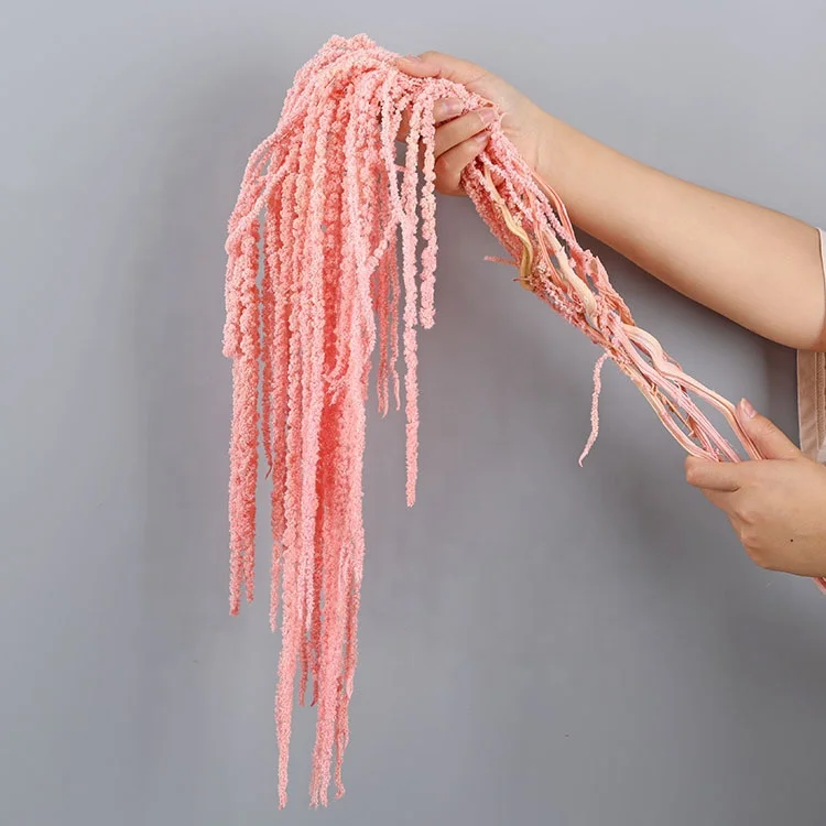 Hanging Rice Wholesale Lover Tears Roulisi Hanging Rice Long Spike For Wedding Hotel Decoration