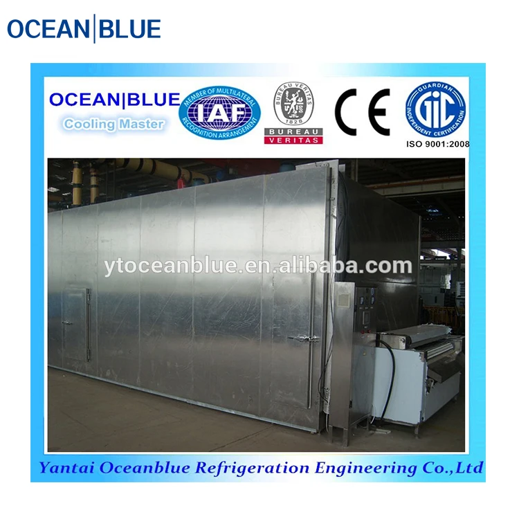 Fish and Meat IQF  Industrial Freezing Equipment