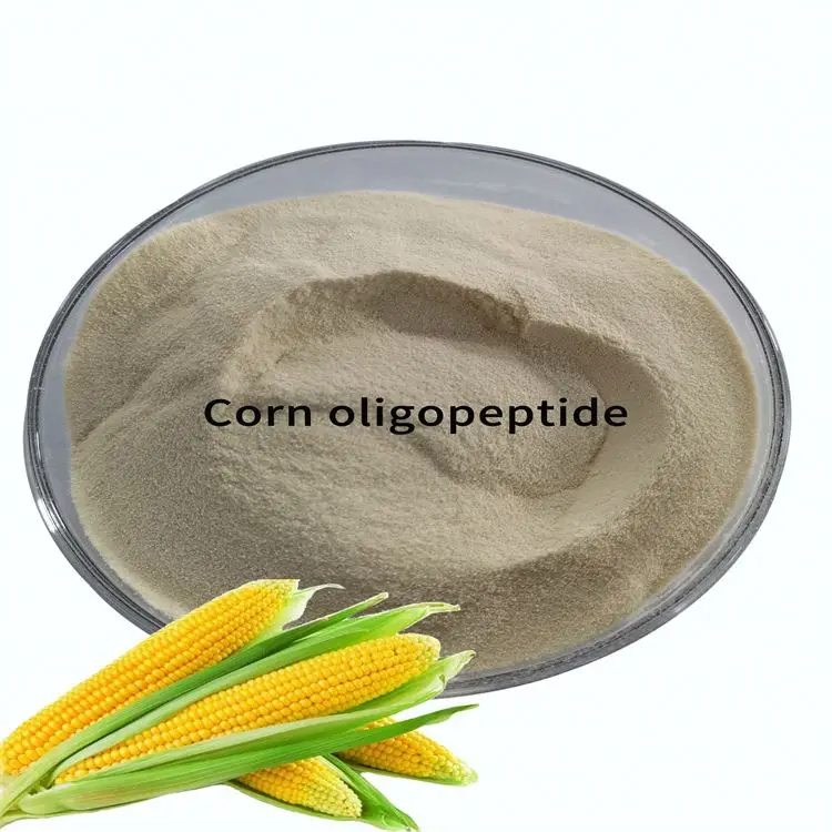 Chinese Supplier corn protein peptide powder for Nutritional Supplements