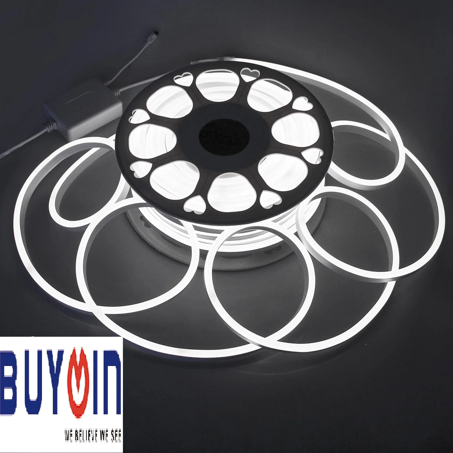 2024 Ultra-Bright IP65 Waterproof Outdoor LED Rope Strip 220V 2700-6500K SMD 2835 PVC Body New Trend Flex Neon Sign Decorations