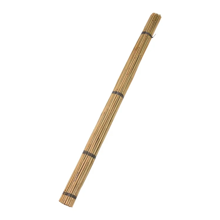 tonkin bamboo canes  Dia.18-20mm x 300cm for Tree Guards