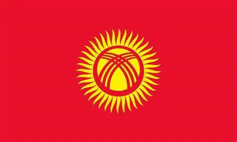All Countries Kazakhstan Kyrgyzstan Tajikistan  Turkmenistan Uzbekistan Wholesale  National  Polyester 3x5ft  national Flag