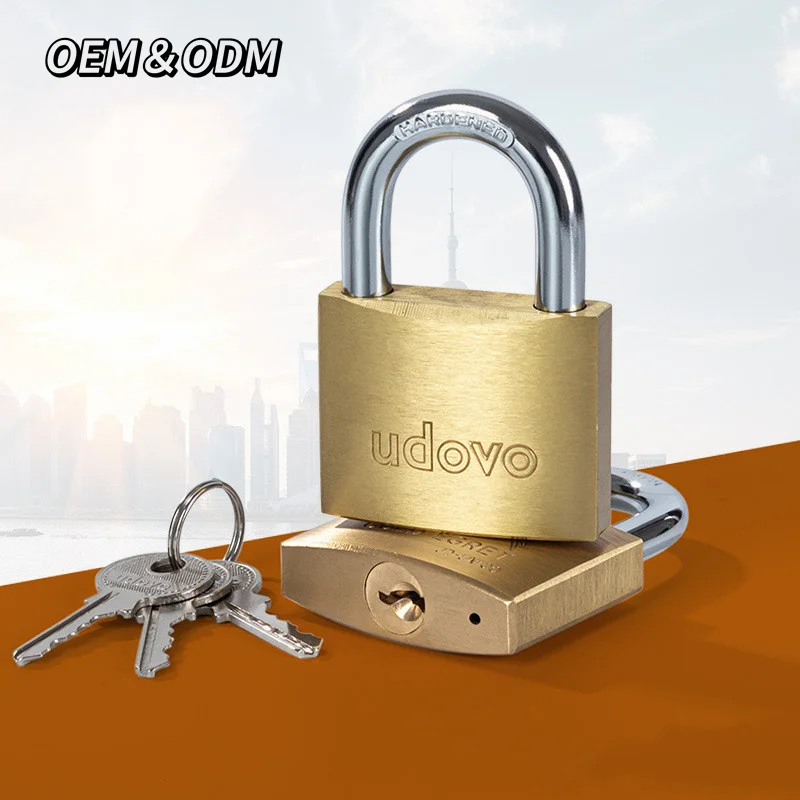 Product Manufacturer Custom Logo Solid Brass Long Shackle Small Lock Padlock