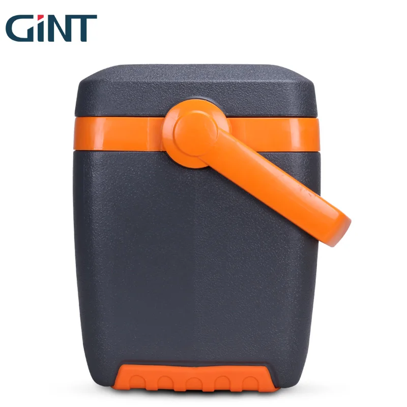 Factory PU Foaming Mini Fish Cooler Box Small Capacity 10L Cooler Box Fruit Container with Lid and Strap