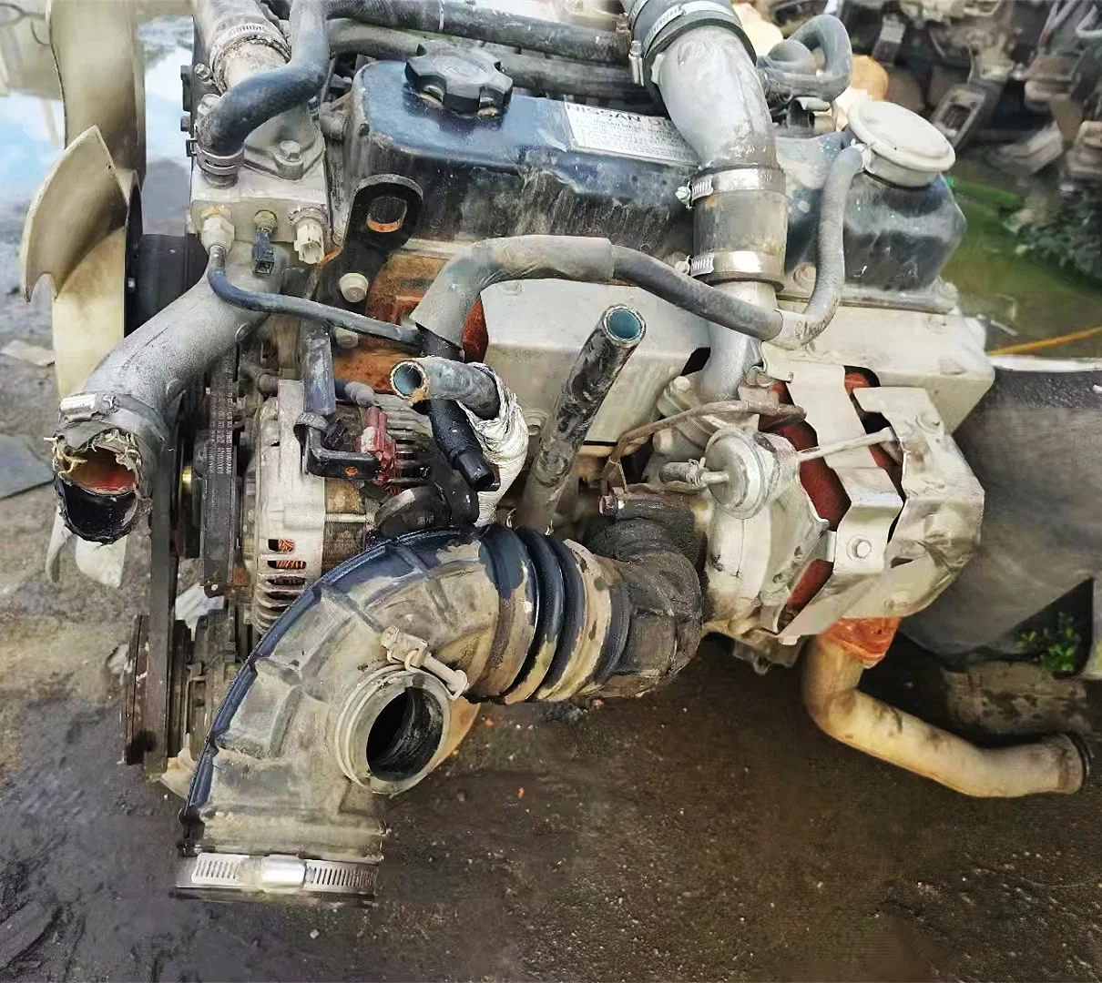 Used Motor qd32 Turbo Diesel Engine Truck Motor qd32 Turbo 4x2