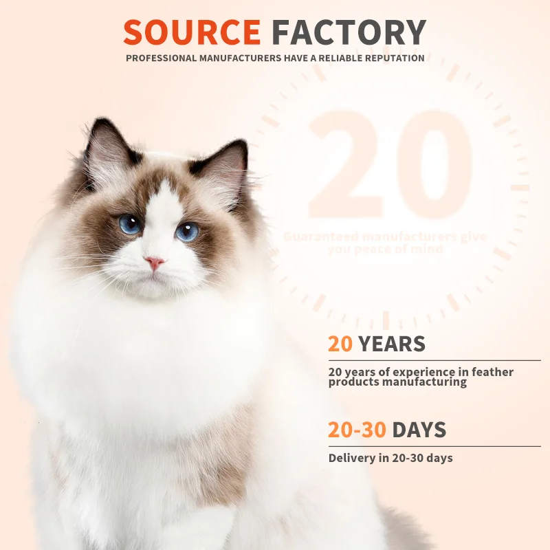 OEM Factory Price Custom Available Funny Interactive Replacement Head Funny Cat Stick Accessories Cat Fishing Rod