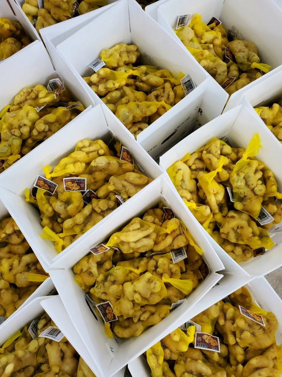 Old Ginger Cheap Price Low MOQ Hot Selling OEM ODM Service Custom Logo Package Light Yellow Fresh Vegetable