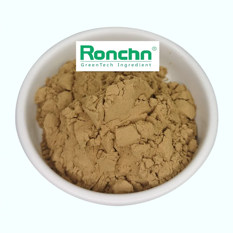 Camellia Sinensis Leaf Extract Camellia Extract Powder 10:1 Camellia Extract