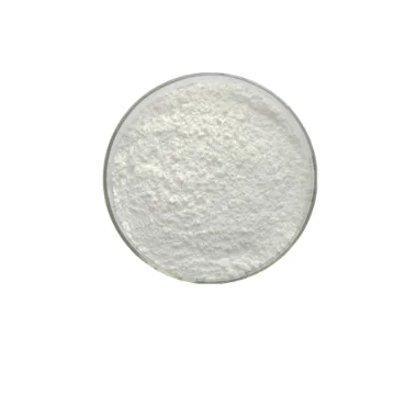 Natural Garlic Extract Allicin Powder Garlic Extract Powder