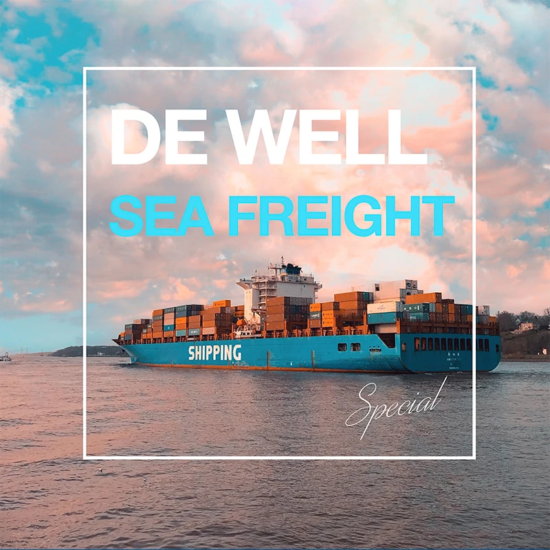 Shipping agent Logistics Services FCL LCL Freight Forwarder  from China to USA 20GP 40GP/HC shanghai logistics company