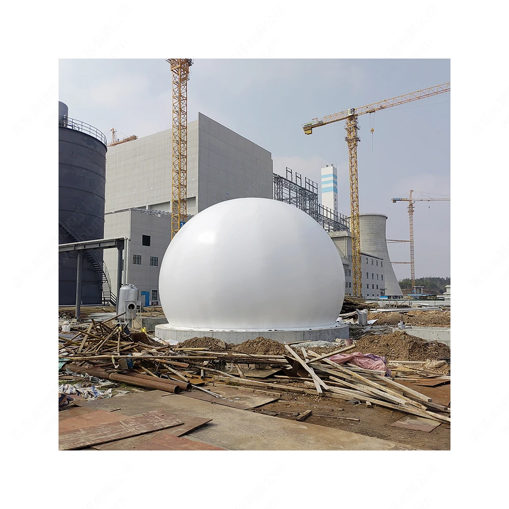Biogas home plant fermentation desulfurization storage holder biogas farm plant