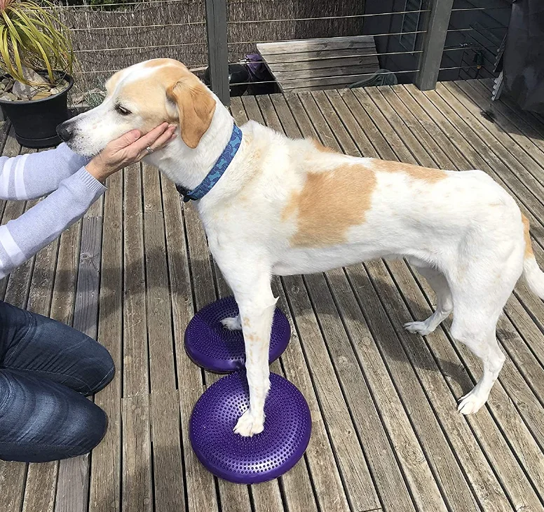 Dog Balance Disc Cushion Dog rehab Exercise Strength Endurance Conditioning Fitness Pet Rehabilitation Center Accessories