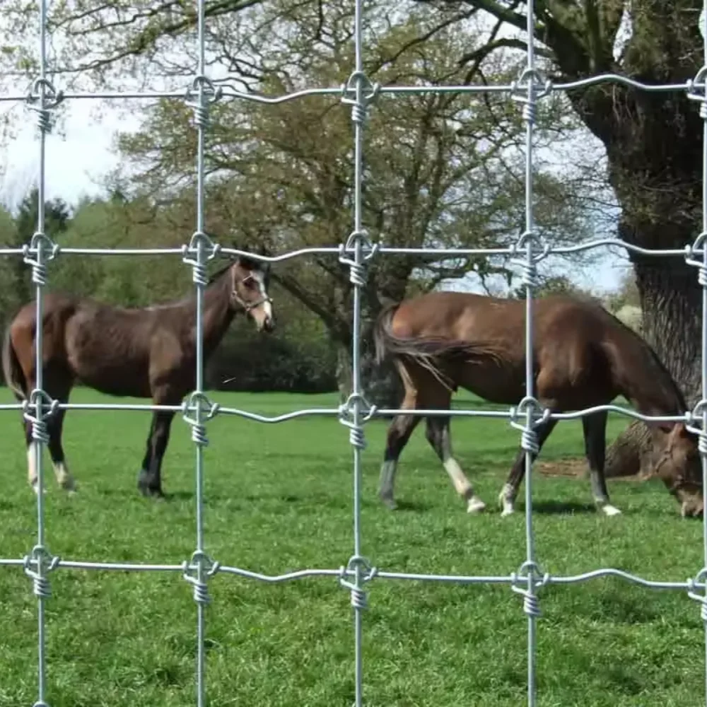 2.2mm 2.5mm 2.7mm wire heavy duty fixed knot woven wire field fence/ Galvanized Sheep Farm Fence Field Fence