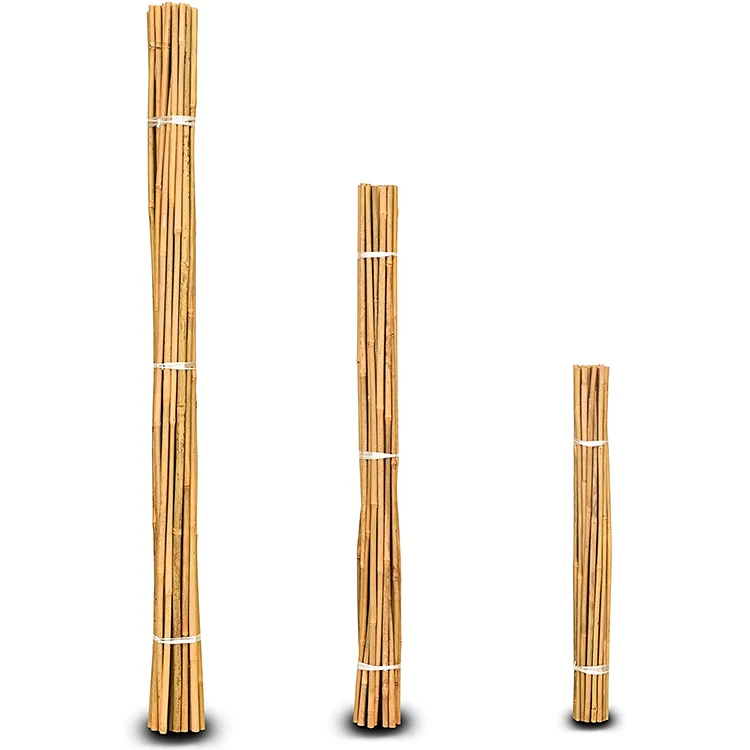 Черные гибкие бамбуковые палочки Newell для сушеного садоводства, большие партии, экспорт, оптовая продажа, необработанные бамбуковые палочки для строительства