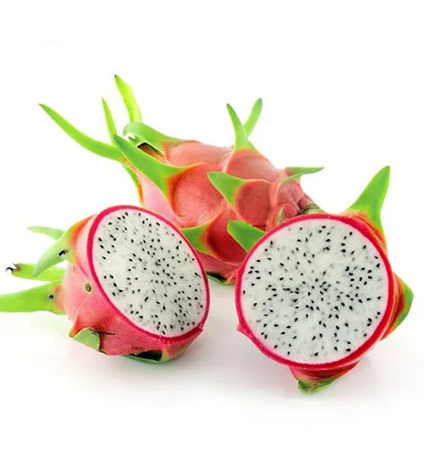 Fresh White Dragon Fruit Best Quality Brand Wholesaler Supplier For Export Cheap Price Low MOQ COMMON Custom Logo Package