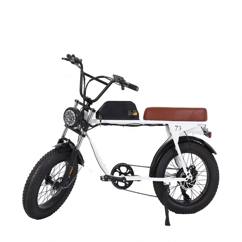 500W 750W 1000W Power 48V China Cheap Full Suspension Retro Vintage E Bike Ebike Dirt Mountain Fat Tire Bicycle Electric Bike