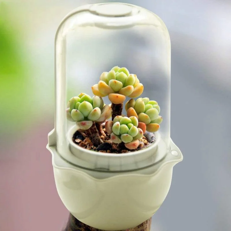 Innovation mini Indoor Smart Garden Succulent hydroponic growing system garden greenhouses pot