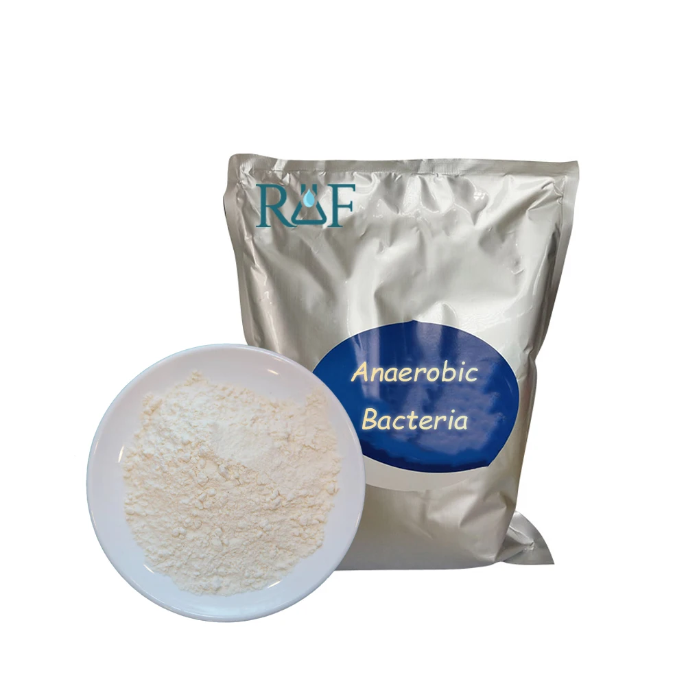 Aerobic Nitrifying Bacteria For Reducing Nitrite