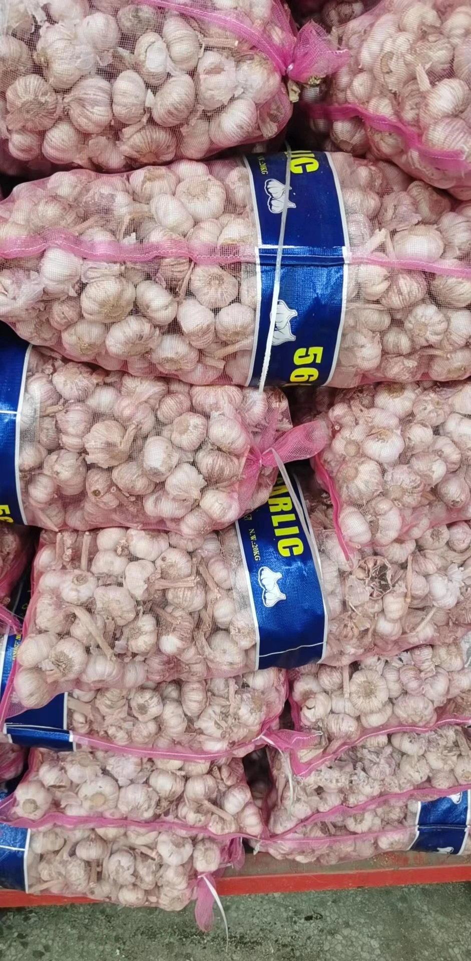 Garlic Price in China Fresh Normal White Style China Gap  Weight Origin Type Size Product Place Model HACCP SHN