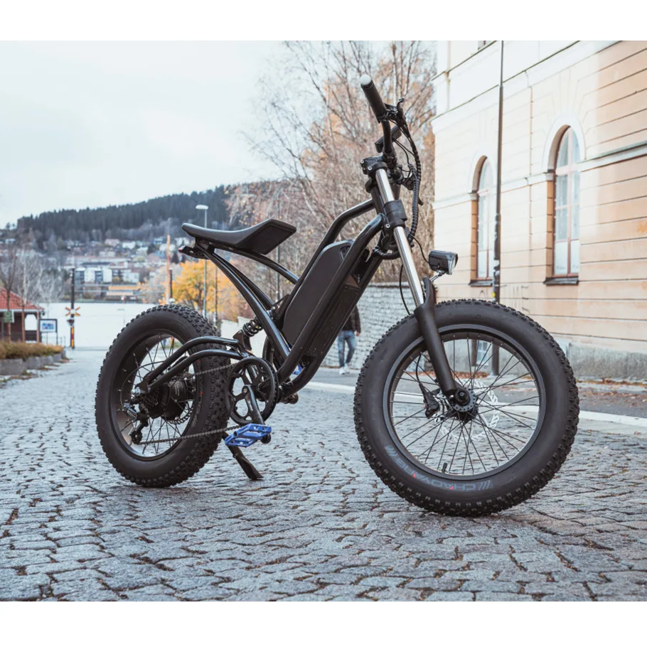 Электрический велосипед Dirtbike перезаряжаемый Подседельный штырь в стиле ретро для езды на велосипеде с толстыми шинами мужчин горных велосипедов