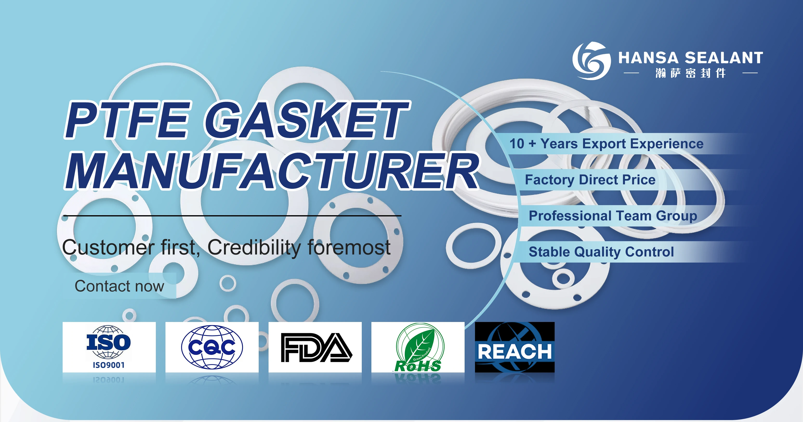 ptfe gaksets