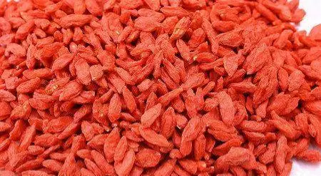 New Corp Red Medlar Lyciun Plus Chinese Wolfberry Dried Fruit Goji Berry Organic Fruit Product goji berri
