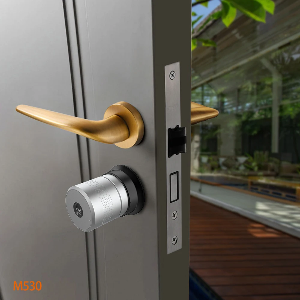 
M530 Lock Manufacturer Easy Install Smart Door Lock Fit for Various Lock Cylinders Smart ttlock 